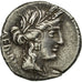 Critonia, Denarius, Rome, BB, Argento, Crawford:351/1