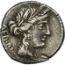 Critonia, Denarius, Rome, EF(40-45), Silver, Crawford:351/1