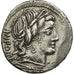 Fonteia, Denarius, Rome, BB, Argento, Crawford:353/1a
