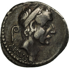 Coin, Marcia, Denarius, Rome, EF(40-45), Silver, Crawford:425/1