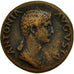 Antonia, Dupondius, Rome, SS, Bronze, RIC:92