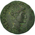 Augustus, As, Rome, EF(40-45), Bronze, RIC:427