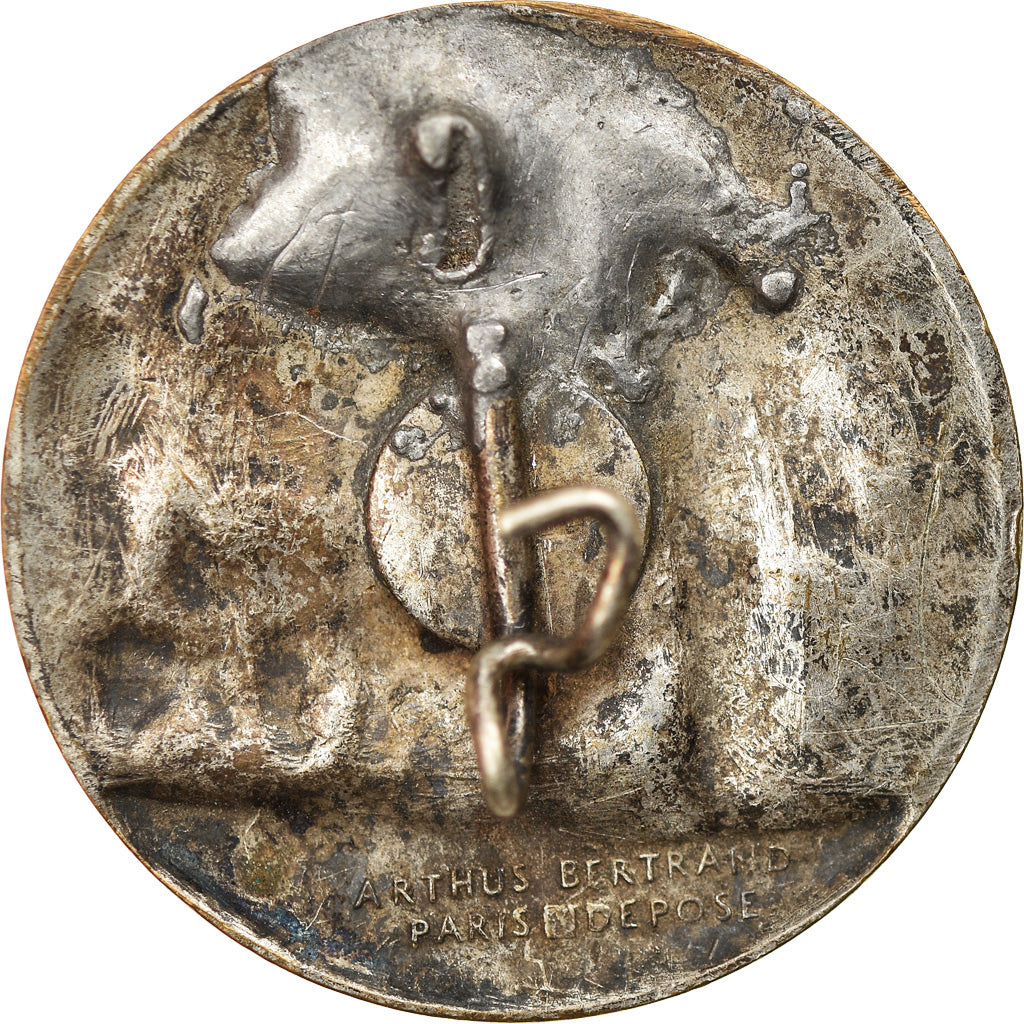 Francia, medalla, Broche, 5ème Génie, Railway, 1889, MBC, Bronce plateado