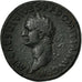 Coin, Domitian, Sestertius, Rome, EF(40-45), Bronze, RIC:240