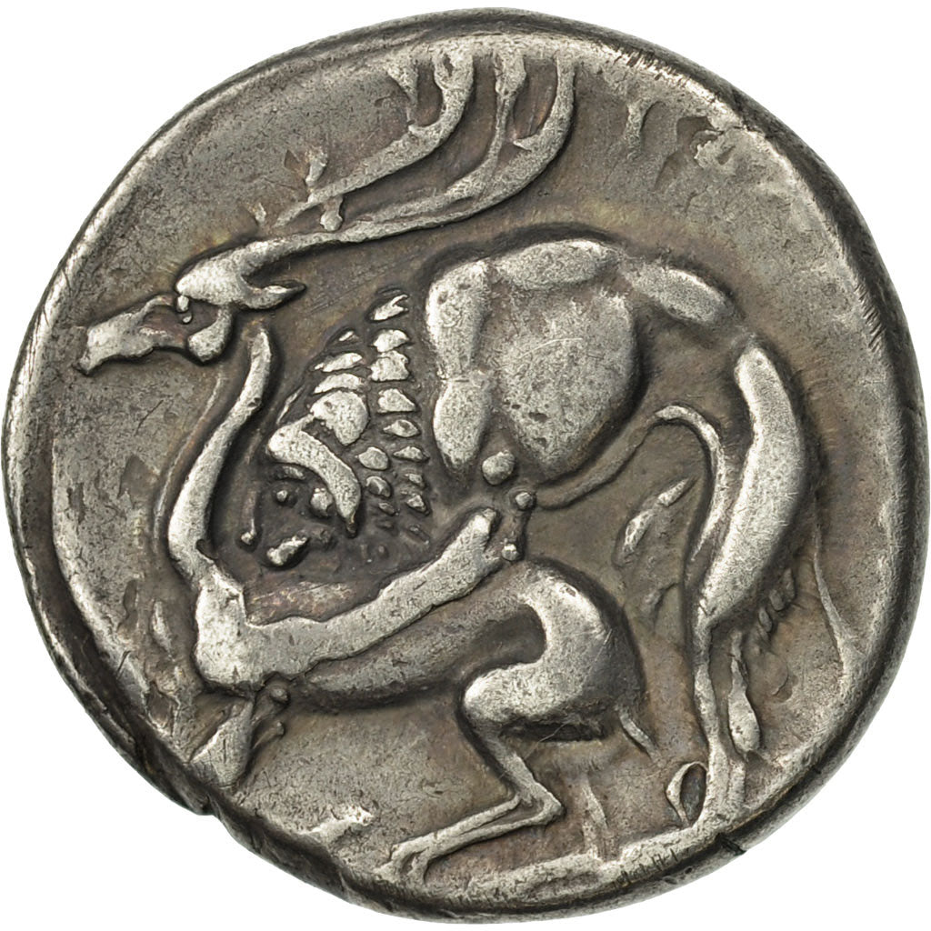 Coin, Lucania, Velia, Didrachm, EF(40-45), Silver