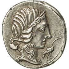 Caecilia, Denarius, North Italian mint, AU(55-58), Silver, Crawford:374/1