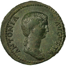 Coin, Antonia, Dupondius, Rome, EF(40-45), Bronze, RIC:92