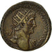 Hadrian, Dupondius, Rome, AU(50-53), Bronze, RIC:605