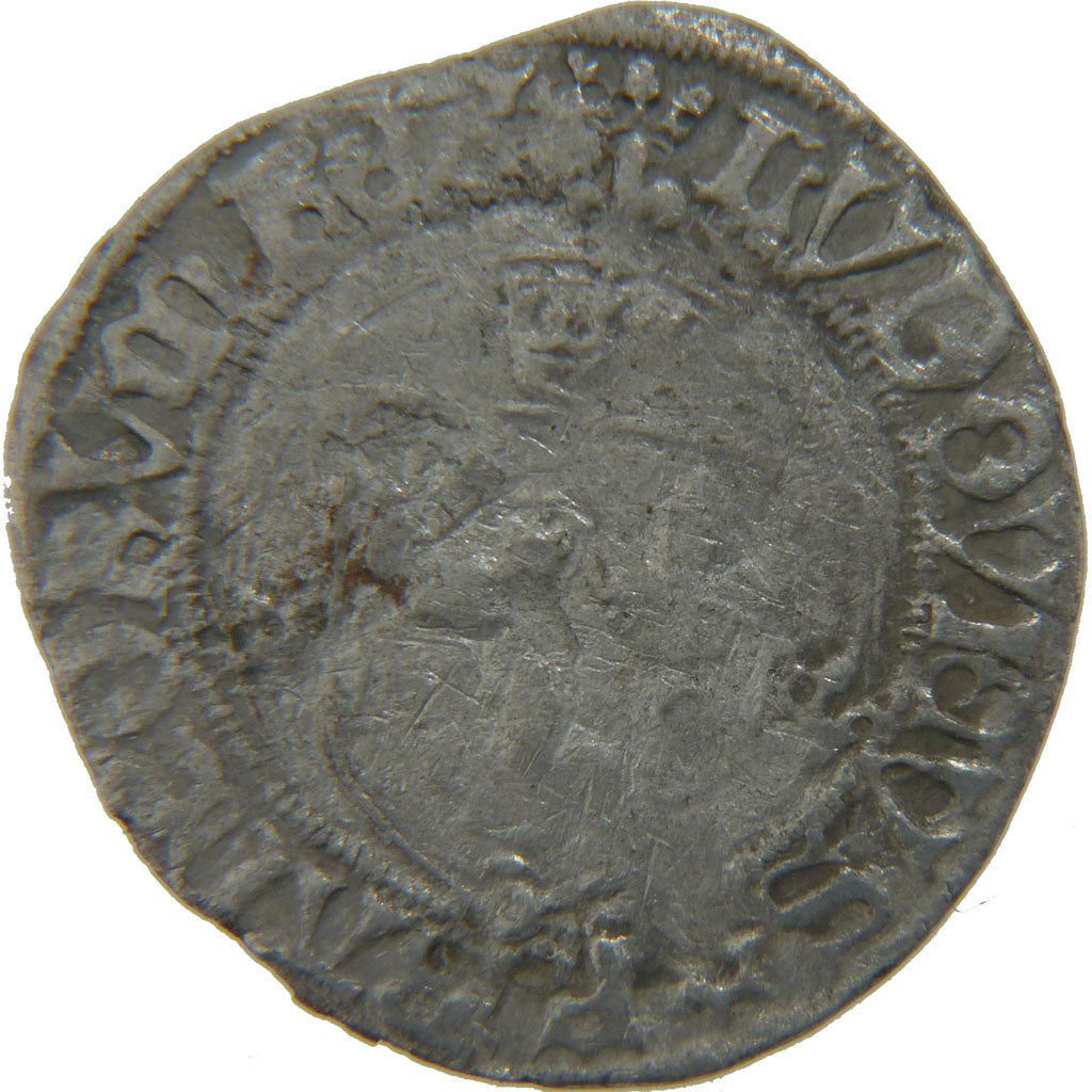 Louis XII, Blanc à la couronne