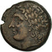 Sicily, Syracuse, Hiketas II, Litra AE23, MBC+, Bronze, CNS:157