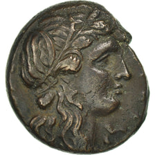 Moneda, Sicily, Hiketas II, Syracuse, Litra, Syracuse, MBC, Bronce