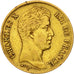 France, Charles X, 40 Francs, 1830, Paris, EF(40-45), Gold, KM:721.1