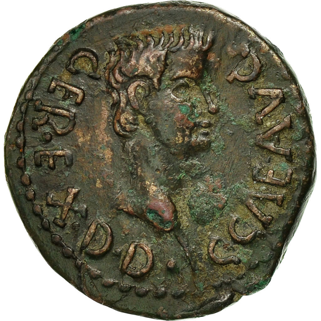 Paphlagonia, Gaius (Caligula), Bronze, Sinope, EF(40-45), Bronze, RPC:2129