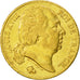 France, Louis XVIII, 20 Francs, 1818, Paris, EF(40-45), Gold, KM:712.1