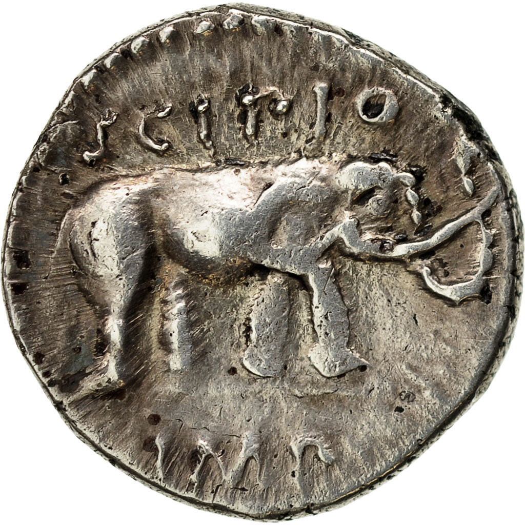 Coin, Caecilia, Denarius, Traveling Mint, AU(50-53), Silver, Crawford:459/1