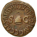 Caligula, Quadrans, Rome, SS, Bronze, RIC:52
