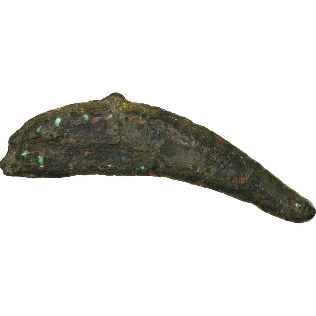 Coin, Sarmatia, Olbia, Dolphin, Olbia, VF(20-25), Bronze