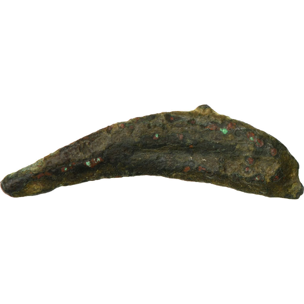 Coin, Sarmatia, Olbia, Dolphin, Olbia, VF(20-25), Bronze