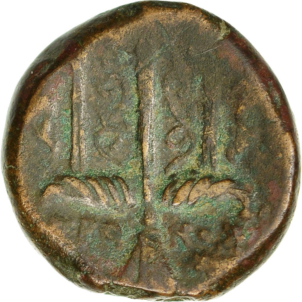 Coin, Sicily, Syracuse, Hieron II, Bronze, VF(20-25), Bronze, SNG ANS:987