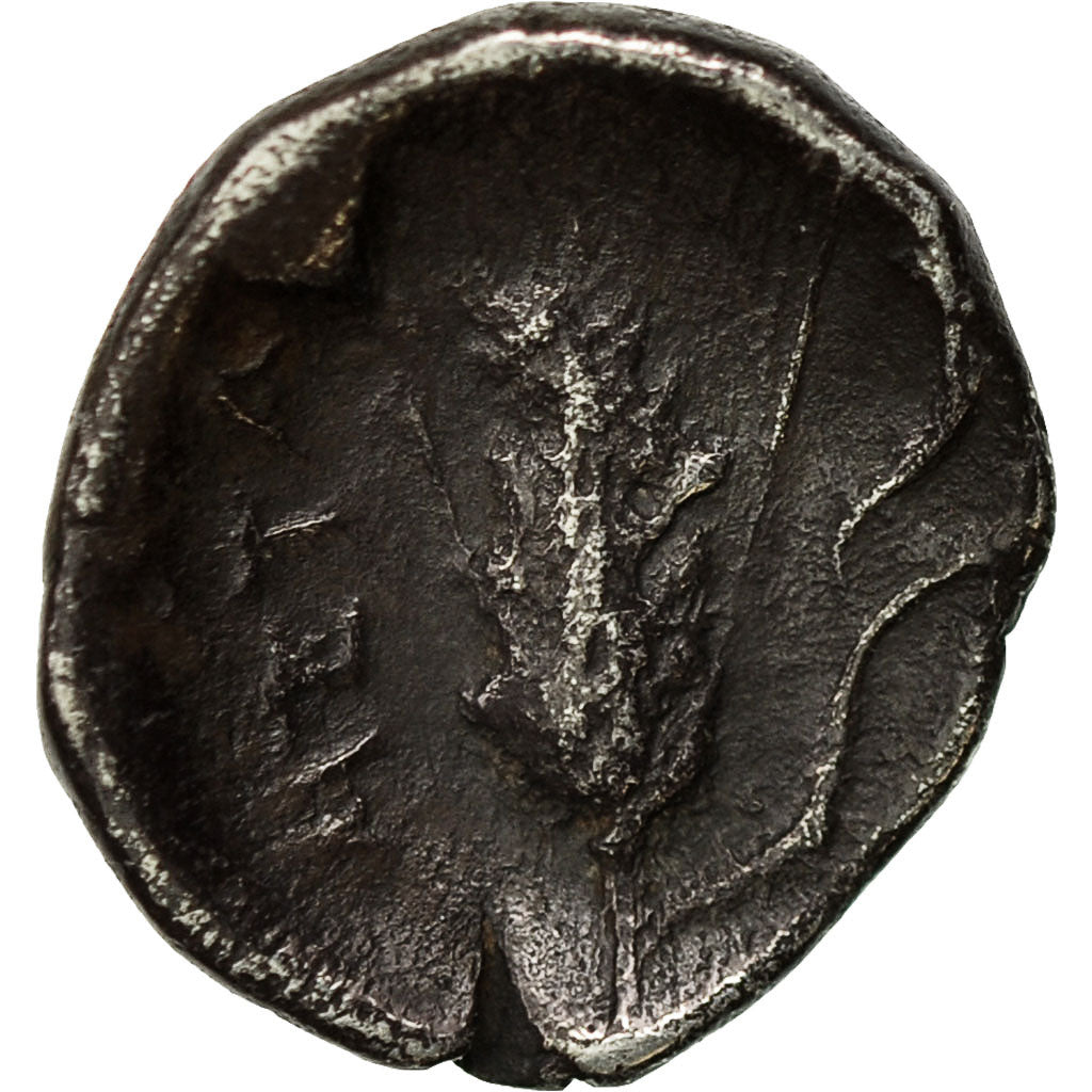 Coin, Lucania, Metapontion, Diobol, EF(40-45), Silver, BMC:163