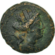 Coin, Phoenicia, Arados, Bronze, EF(40-45), Bronze, SNG Cop:62