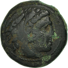 Coin, Kingdom of Macedonia, Alexander III, Bronze AE18, EF(40-45), Bronze
