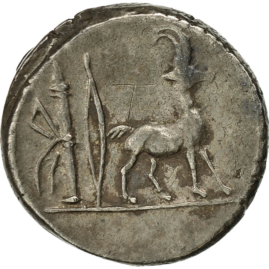 Coin, Plancia, Denarius, Rome, AU(50-53), Silver, Crawford:432/1