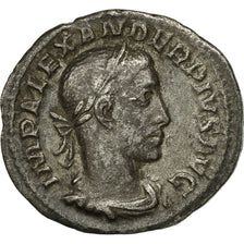Münze, Severus Alexander, Denarius, Rome, S+, Silber, RIC:246
