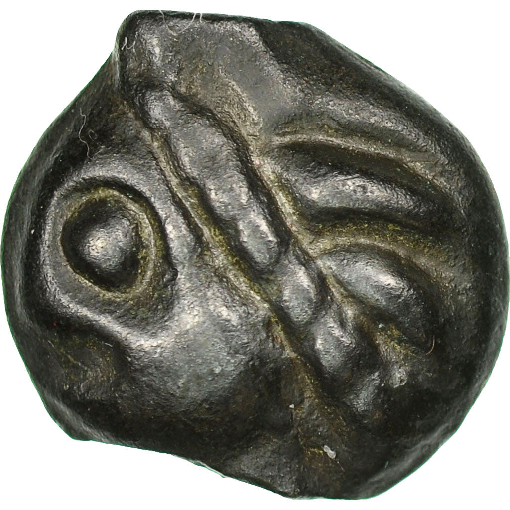 Münze, Leuci, Potin, SS, Potin, Delestrée:227