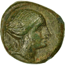 Coin, Lucania, Metapontion, Bronze, AU(55-58), Bronze, HN Italy:1706