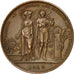 France, Medal, History, 1849, Montagny, AU(55-58), Bronze