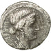Coin, Junia, Denarius, Rome, EF(40-45), Silver, Crawford:433/1