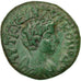 Coin, Thrace, Commodus, Bronze, Philippopolis, AU(50-53), Bronze, Moushmov:5191