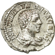 Coin, Geta, Denarius, 203-208, Roma, AU(50-53), Silver, RIC:51