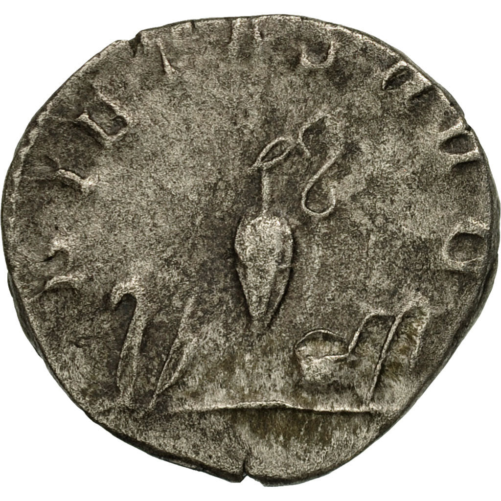 Coin, Saloninus, Antoninianus, 256, Cologne, VF(30-35), Billon, RIC:9