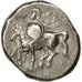 Münze, Calabria, Tarentum, Didrachm, SS, Silber