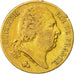 Coin, France, Louis XVIII, Louis XVIII, 20 Francs, 1819, Paris, EF(40-45), Gold