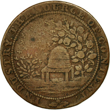 Coin, Great Britain, Sussex, Halfpenny Token, 1794, Winchelsea, VF(20-25)