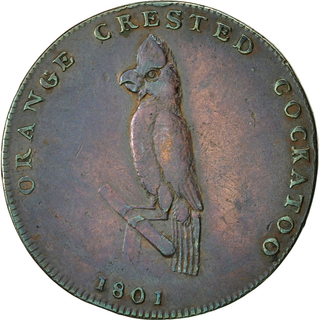 Coin, Great Britain, J & G Pidcock, Halfpenny Token, 1801, Middlesex, EF(40-45)