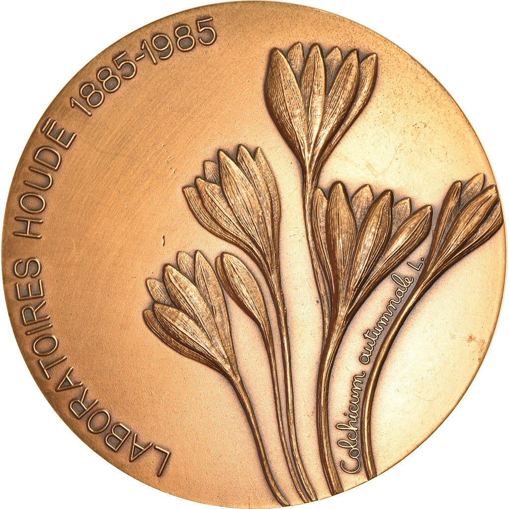 France, Médaille, Alfred Houdé, Sciences & Technologies, 1985, SPL, Bronze