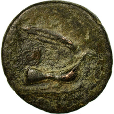 Coin, Sikyonia, Sicyon, Chalkous Æ, VF(20-25), Bronze