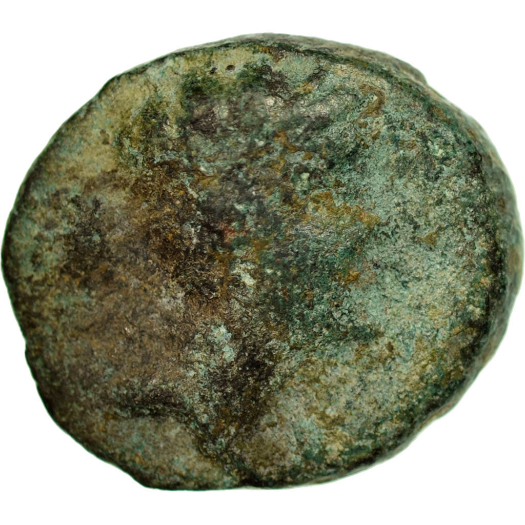 Monnaie, Royaume Séleucide, Séleucus III Ceraunos, Bronze Æ, Antioche, TB