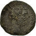 Coin, Clodius Albinus, Sestertius, 194-195, Rome, VF(30-35), Bronze, RIC:56a