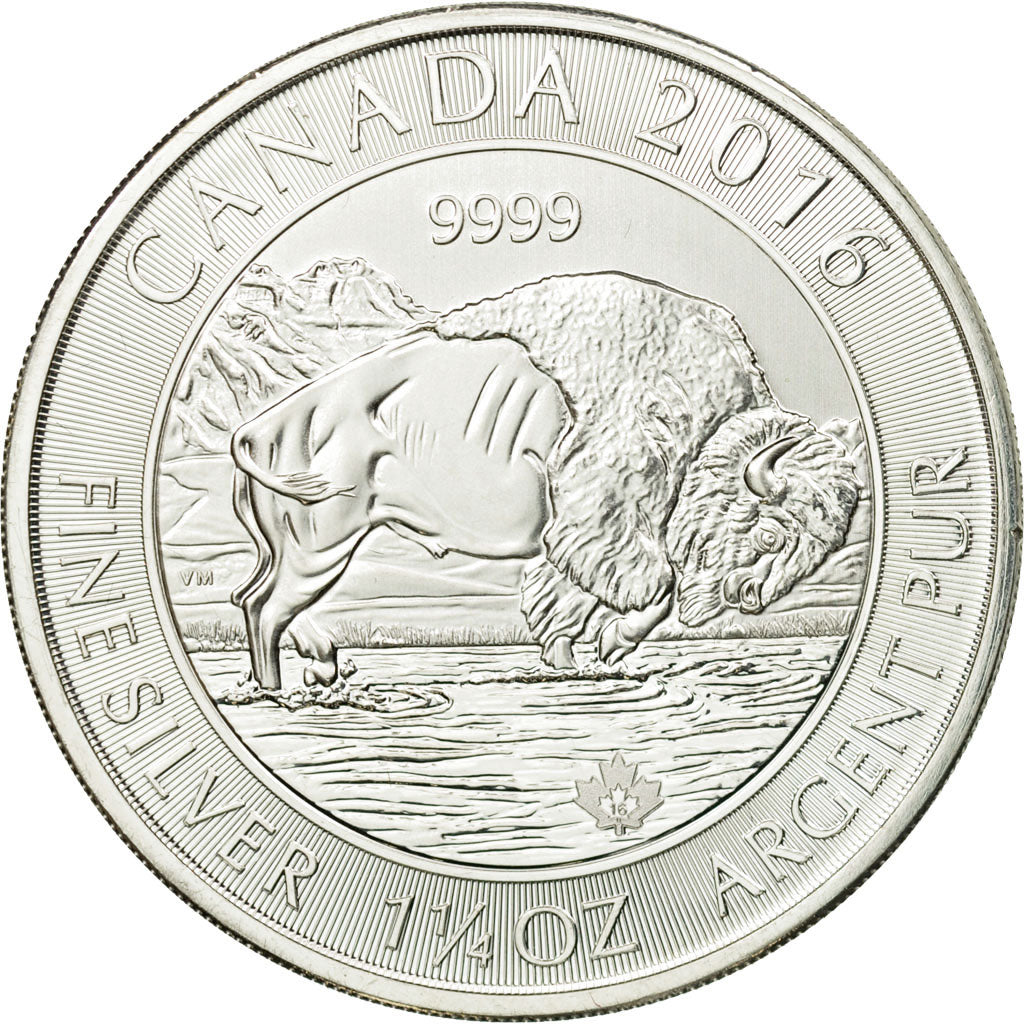 Coin, Canada, Elizabeth II, 1 ¼ oz Bison, 8 Dollars, 2016, MS(65-70), Silver