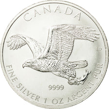 Munten, Canada, Elizabeth II, Bald Eagle, 5 Dollars, 2014, UNC, Zilver