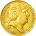 Moneda, Francia, Louis XVIII, 20 Francs, 1817, Paris, MBC, Oro, KM:712.1