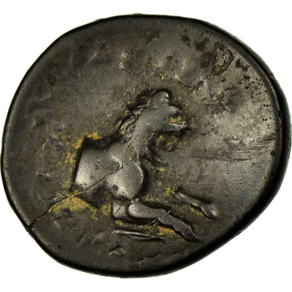 Monnaie, Thrace, Lysimaque, Bronze Æ, 306-281 BC, TB+, Bronze, HGC:3.2-1760