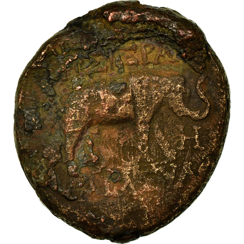 Coin, Seleucis and Pieria, Apameia, Bronze Æ, 57-56 BC, VF(30-35), Bronze