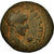 Coin, Mesopotamia, Gordian III, Bronze Æ, 238-244, Edessa, VF(30-35), Bronze