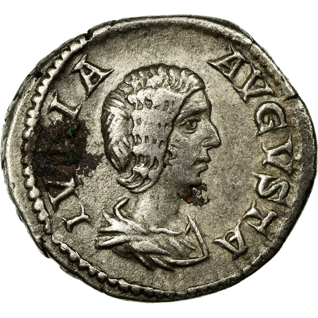 Coin, Julia Domna, Denarius, 207-211, Rome, EF(40-45), Silver, RIC:557